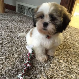 Meet your Posher, Erica